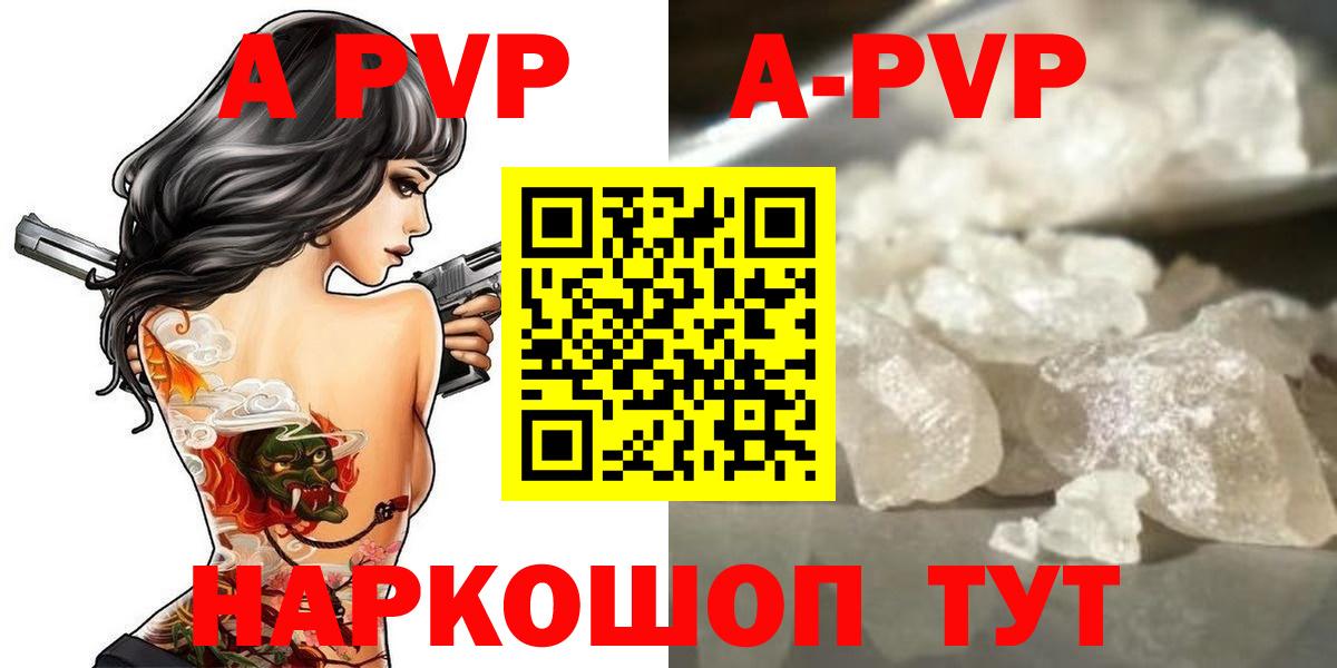 A PVP СК Белгород