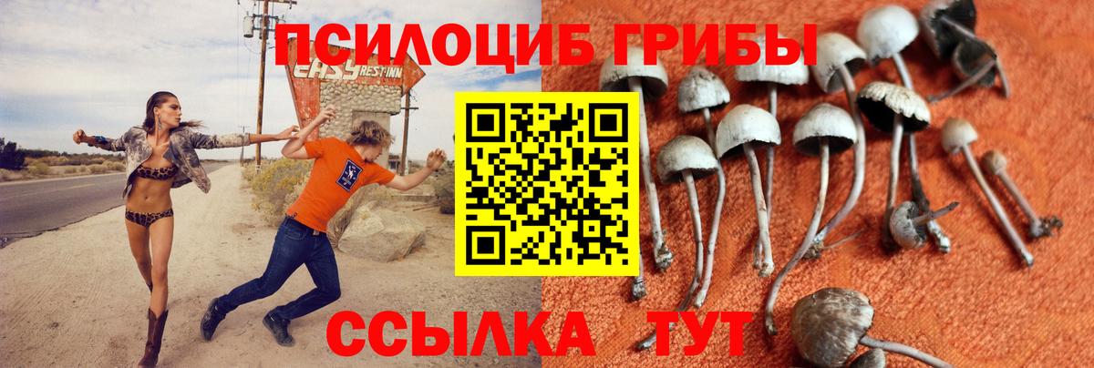 Галлюциногенные грибы прущие грибы Белгород