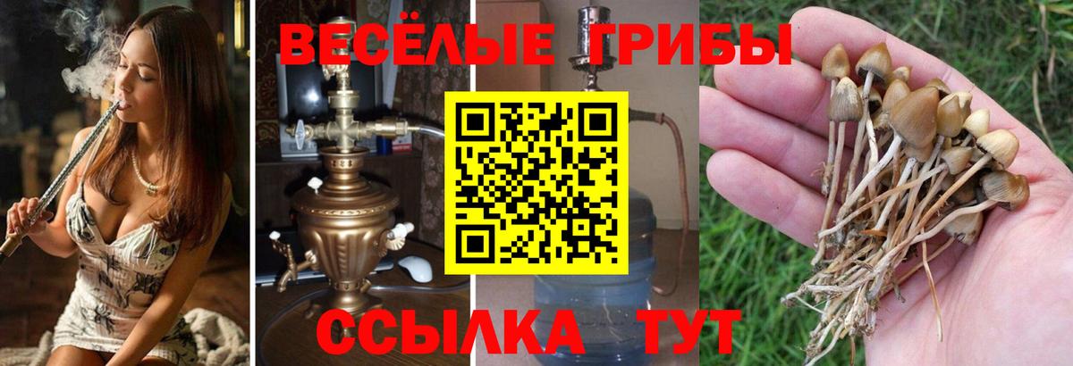 Белгород  Галлюциногенные грибы Psilocybine cubensis  Псилоцибиновые грибы Magic Shrooms  как найти закладки  Вход с VPN 